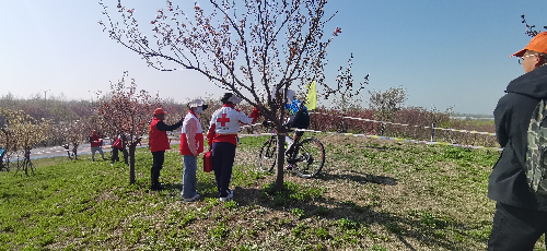 微信图片_2025-04-07_090356_003.png