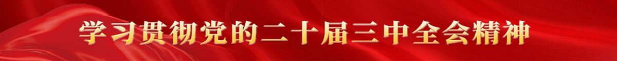 通栏01
