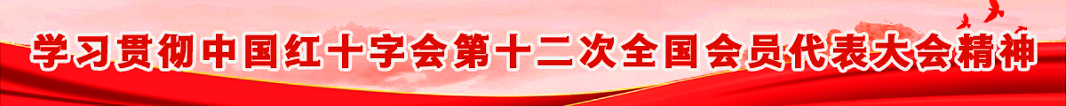 通栏02